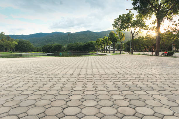 Best Residential Driveway Paver Services  in Las Flores, CA