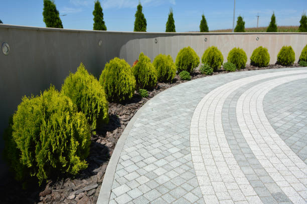 Best Affordable Driveway Pavers  in Las Flores, CA